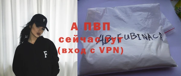 индика Лихославль