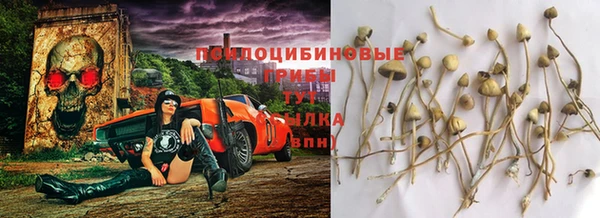 индика Лихославль