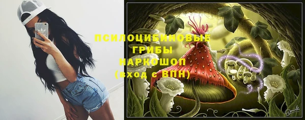 стафф Майский