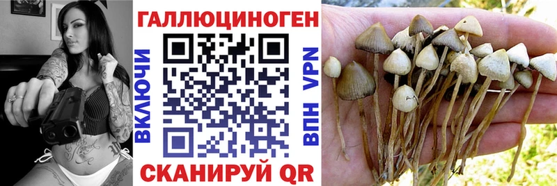 blacksprut зеркало Чебоксары Галлюциногенные грибы мицелий где купить наркоту