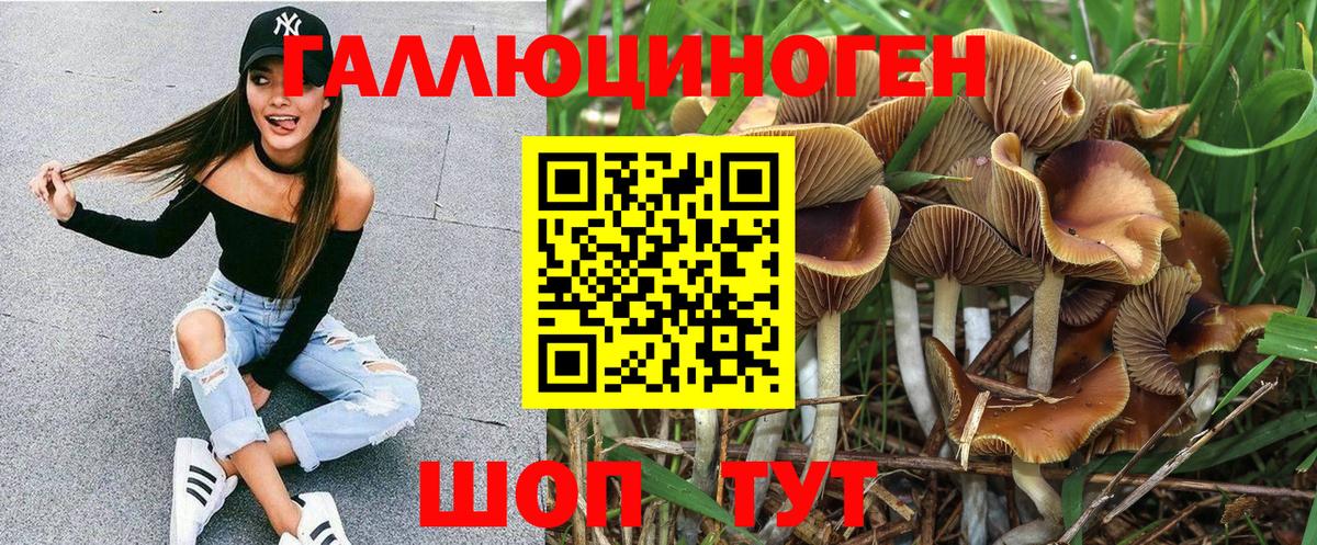 Псилоцибиновые грибы GOLDEN TEACHER Чебоксары