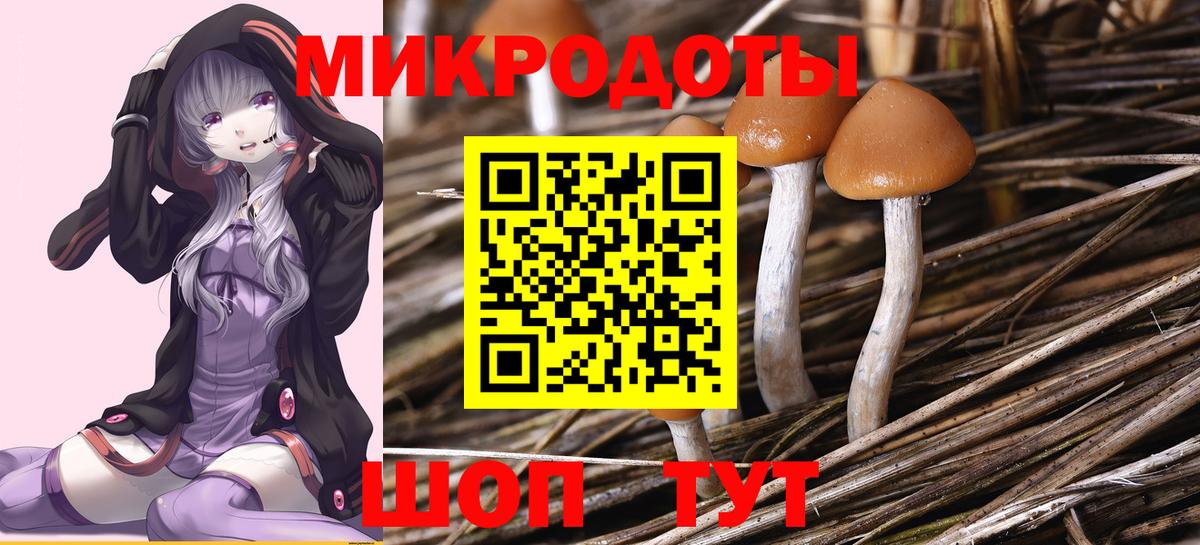 Чебоксары  Галлюциногенные грибы мухоморы  Вход с VPN  Галлюциногенные грибы мицелий 